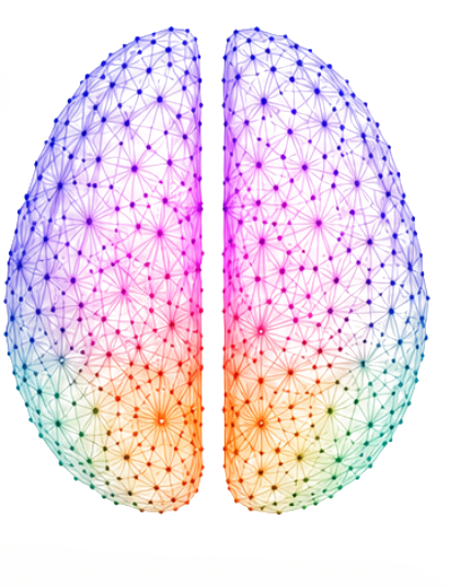 Two-half rainbow brain graph, the visual signature of the NEURO-GAME platform